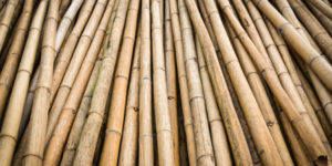 Bambusparkett